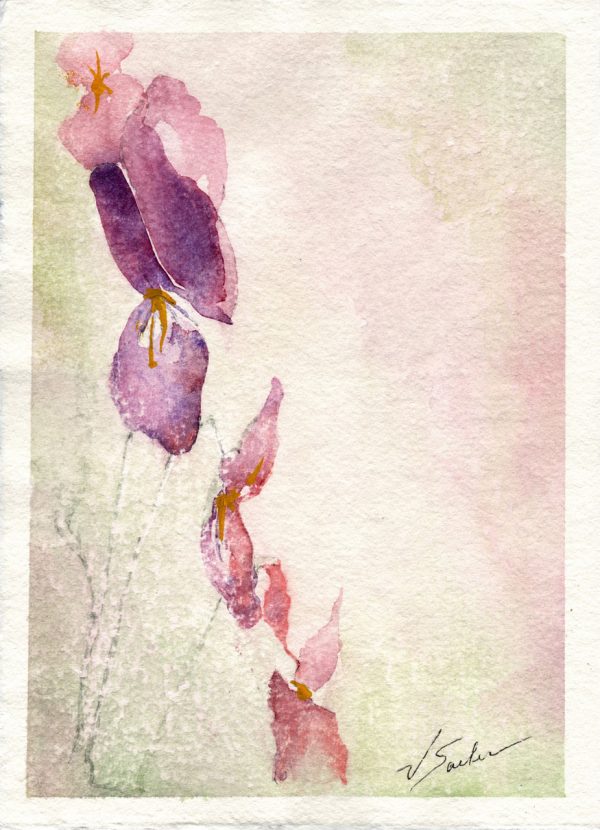 Watercolor - Violets Study 2